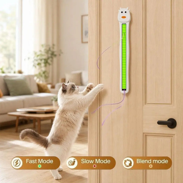 Purrfect Paws Playtime Toy