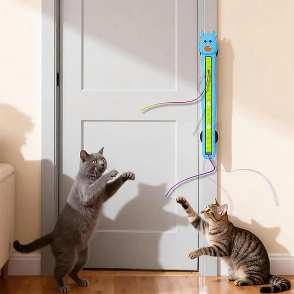 Purrfect Paws Playtime Toy